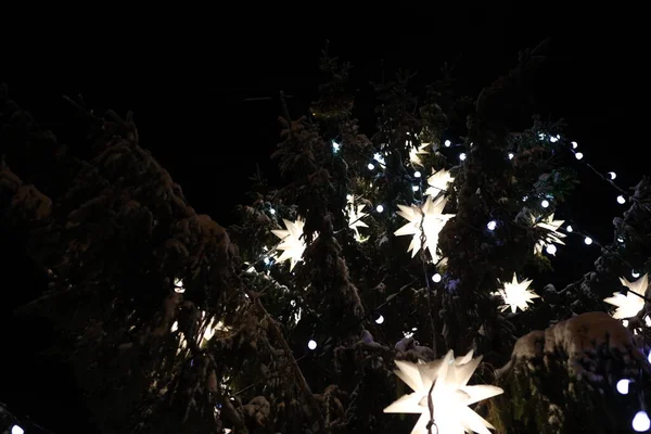 Weihnachtslaternen in der Nacht Winter schneebedeckten Park — Stockfoto