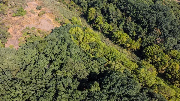 Pohled z ptačí perspektivy na zelený les. Přírodní pozadí — Stock fotografie