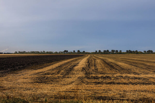 Harvested field, partially burnt. Agricultural landscape