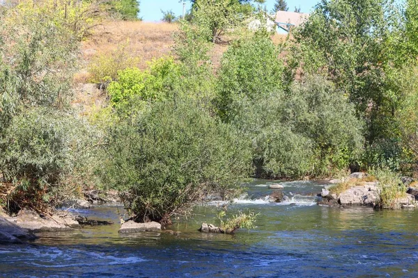 Un hermoso río que fluye rápido. Agua friki entre los árboles. Paisaje rural —  Fotos de Stock