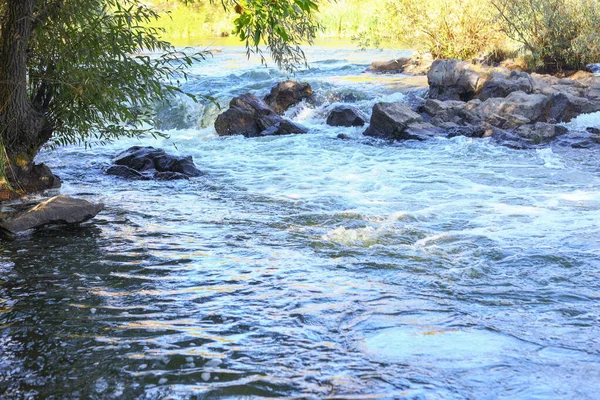 Piękna szybko płynąca rzeka. Rozbrykana woda między drzewami. Krajobraz wiejski — Zdjęcie stockowe