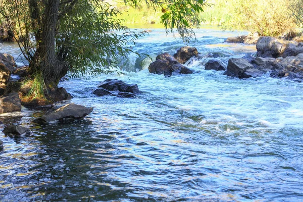 Güzel, hızlı akan bir nehir. Ağaçlar arasında oynak su. Kırsal alan
