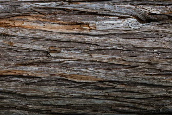 Een oude houttextuur van dichtbij. de natuurlijke achtergrond — Stockfoto