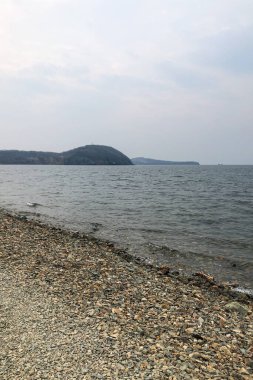 Koyun ve okyanusun güzel manzarası