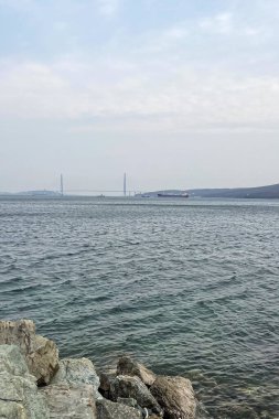 Köprünün ve körfezin güzel manzarası