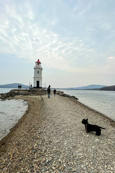 Hermoso Faro Solitario Con Montañas Fondo —  Fotos de Stock