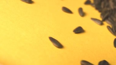 Sarı bir arka plan üzerinde ayçiçeği tohumu. Yavaş çekim. Close. Dikey tava. 2 Atış