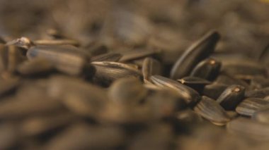 Ayçekirdeği. Yavaş çekim. Close. Dikey ve yatay tava. 3 Çekim