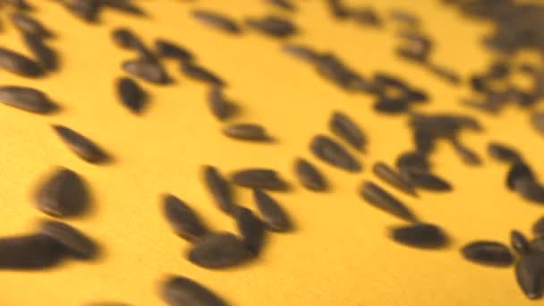 Graines de tournesol sur fond jaune. Au ralenti. Gros plan. Poêle verticale. 2 coups de feu 