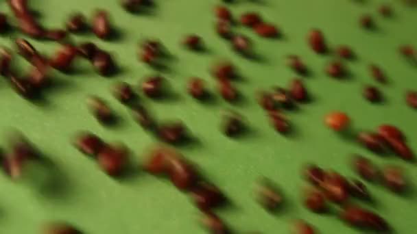 緑の背景に茶色の豆。スローモーション。クローズ アップ。水平方向のパン。2 ショット — ストック動画