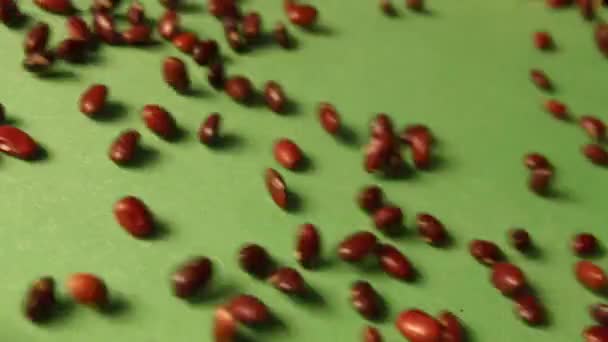 녹색 배경에 갈색 콩입니다. 슬로우 모션입니다. 클로즈업입니다. 수평 팬입니다. 2 샷 — 비디오
