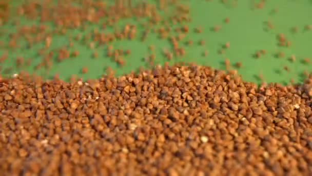 Buckwheat on a green background. Slow motion. Close-up. Vertical pan. 2 Shots — Stock Video