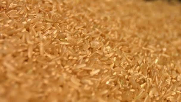 Bruine rijst op een zwarte achtergrond. Slow-motion. Close-up. Verticale pan. 3 opnamen — Stockvideo