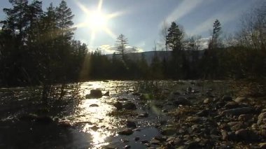 Dağ nehir. 2 tekila. Genel çerçeve ve yakın çekim.