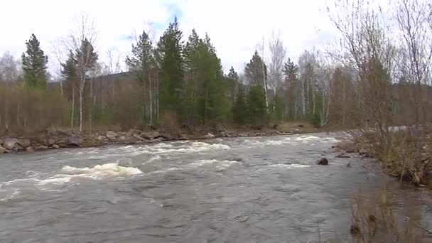 Berg rivier. 3 schoten. Het algehele frame en close-up. — Stockvideo