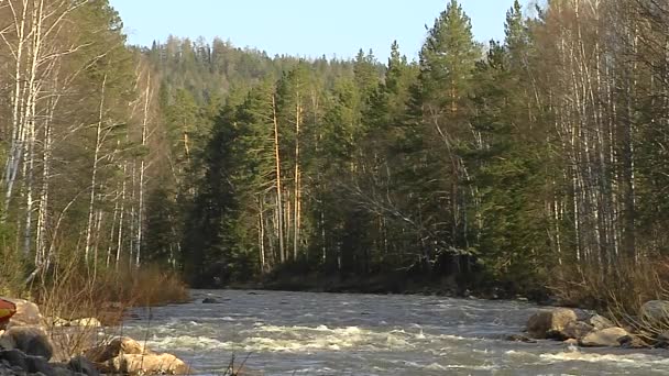 Río de montaña. Tres disparos. El marco general y el primer plano . — Vídeos de Stock