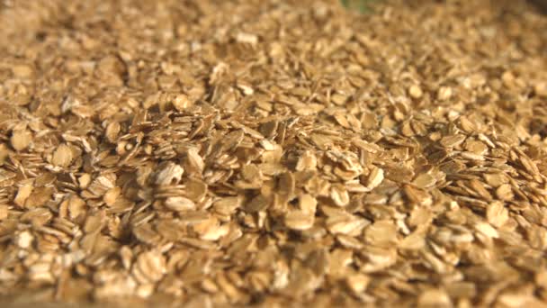 Oatmeal. 3 Shots. Slow motion. Close-up. Horizontal and vertical pan. — Stock Video