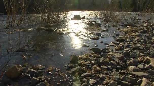 Mountain river. 2 Shots. The overall frame and close-up. — Stock Video