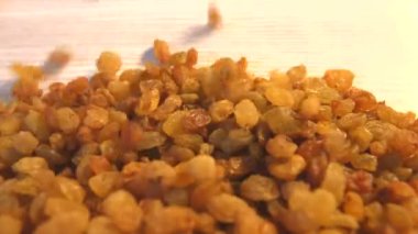 Bej (doku tablo, yüzey) arka plan üzerinde kuru üzüm. 2 tekila. Yatay pan. Yakın çekim.