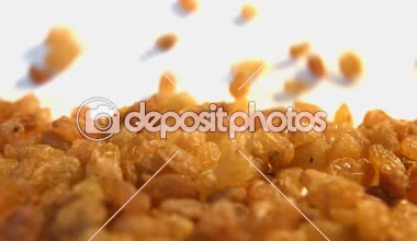 Beyaz zemin üzerine kuru üzüm. 2 tekila. Yatay pan. Yakın çekim.