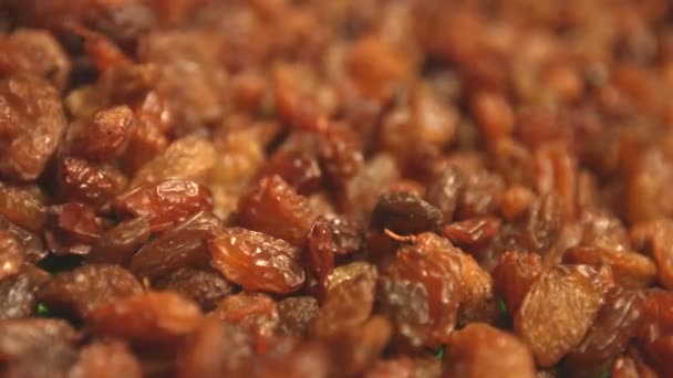 Raisins on a green background. 2 Shots. Vertical pan. Close-up. — Stock Video