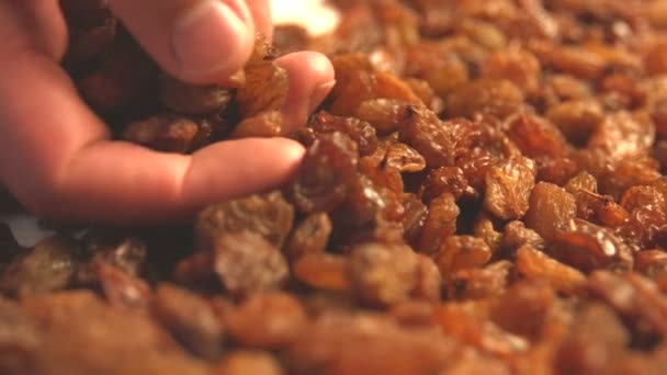 Brown raisins. 2 Shots. Vertical and horizontal pan. Close-up. — Stock Video