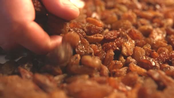 Brown raisins. Slow motion. 2 Shots. Horizontal pan. Close-up. — Stock Video