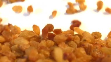 Beyaz arka planda kuru üzüm. 2 atış. Yavaş çekim. Dikey tava. Close.