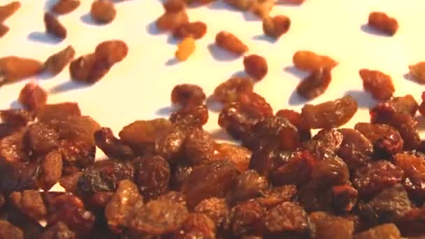 Raisins on a white background. 2 Shots. Horizontal pan. Close-up. Slow motion. — Stock Video