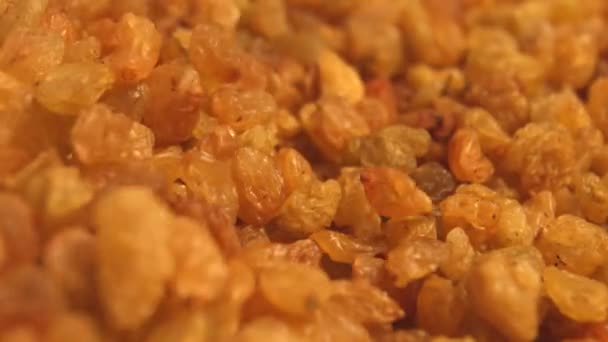 Raisins on a white background. 2 Shots. Slow motion. Vertical pan. Close-up. — Stock Video