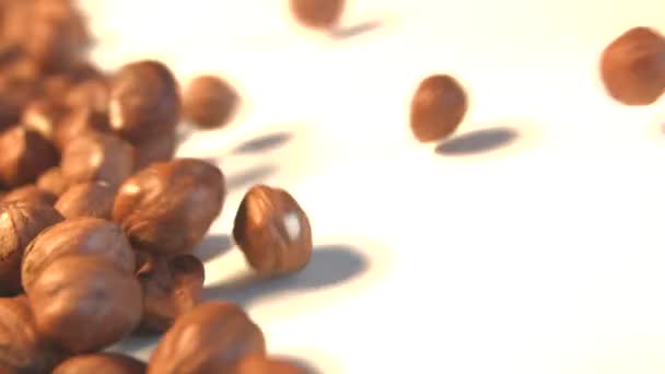 Hazelnuts on a white background. 2 Shots. Slow motion. Horizontal pan. Close-up. — Stock Video