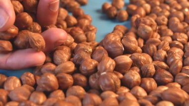 Mavi bir arka plan üzerinde fındık. 2 tekila. Ağır çekim. Yatay pan. Yakın çekim.