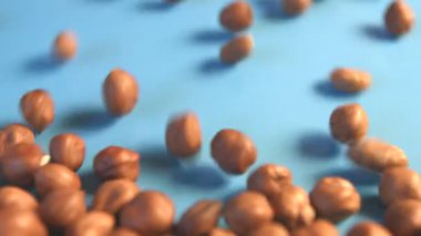 Mavi bir arka plan üzerinde fındık. Dikey pan. 2 tekila. Yakın çekim.