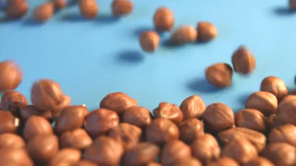 Hazelnuts on a background. Vertical pan. 2 Shots. Close-up. — Stock Video