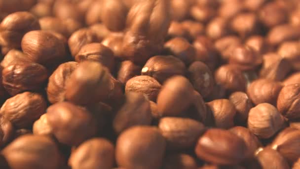 Hazelnuts on a blue background. Slow motion. 2 Shots. Horizontal pan. Close-up. — Stock Video