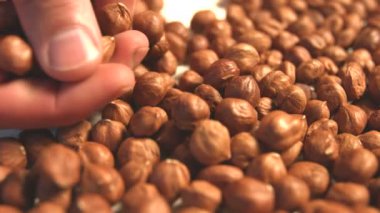 Beyaz bir arka plan üzerinde fındık. 2 tekila. Yatay pan. Yakın çekim.