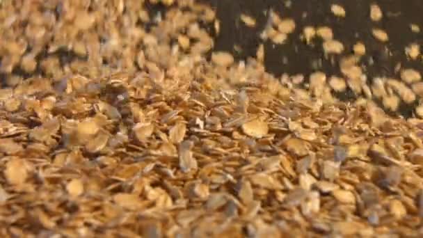 Oatmeal on a black background. Slow motion. 2 Shots. Vertical pan. Close-up. — Stock Video