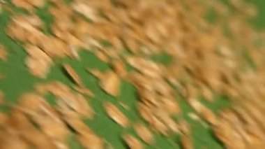 Yeşil bir arka plan üzerinde yulaf ezmesi. Ağır çekim. Yakın çekim. Yatay pan. 2 çekim