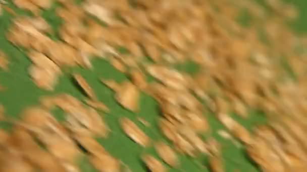 Oatmeal on a green background. Slow motion. Close-up. Horizontal pan. 2 Shots — Stock Video