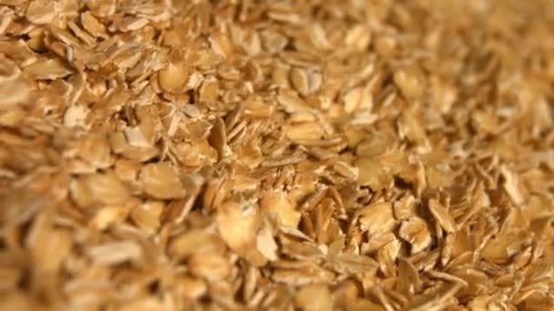 Oatmeal on a green background. Slow motion. 2 Shots. Vertical pan. Close-up. — Stock Video