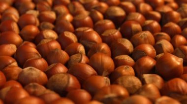 Fındık. 3 çekim. Ağır çekim. Dikey ve yatay pan. Yakın çekim.