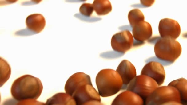 Hazelnuts on a white background. 2 Shots. Slow motion. Horizontal pan. Close-up. — Stock Video