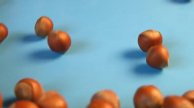 Mavi bir arka plan üzerinde fındık. 2 tekila. Ağır çekim. Dikey pan. Yakın çekim.