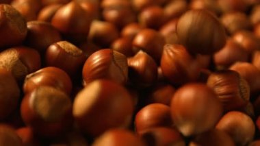 Fındık. 3 çekim. Yatay ve dikey pan. Yakın çekim.