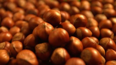 Fındık yeşil bir arka plan üzerinde. 3 çekim. Dikey pan. Yakın çekim.