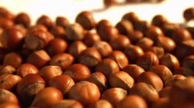 Beyaz bir arka plan üzerinde fındık. 2 tekila. Yatay pan. Yakın çekim.