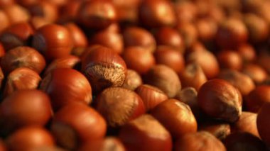 Mavi bir arka plan üzerinde fındık. 3 çekim. Yatay ve dikey pan. Yakın çekim.