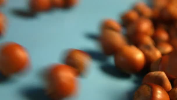 Hazelnuts on a blue background. 2 Shots. Horizontal pan. Close-up. — Stock Video