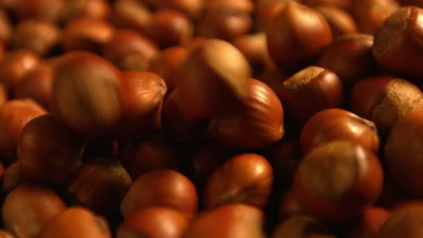 Hazelnuts on a green background. 3 Shots. Horizontal and vertical pan. Close-up. — Stock Video