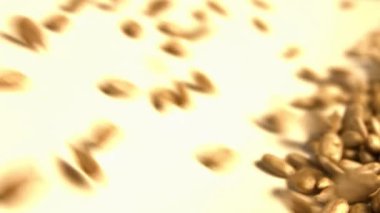 Beyaz bir arka plan üzerinde kabuklu ayçiçeği çekirdeği. Ağır çekim. Yakın çekim. Dikey pan. 2 çekim